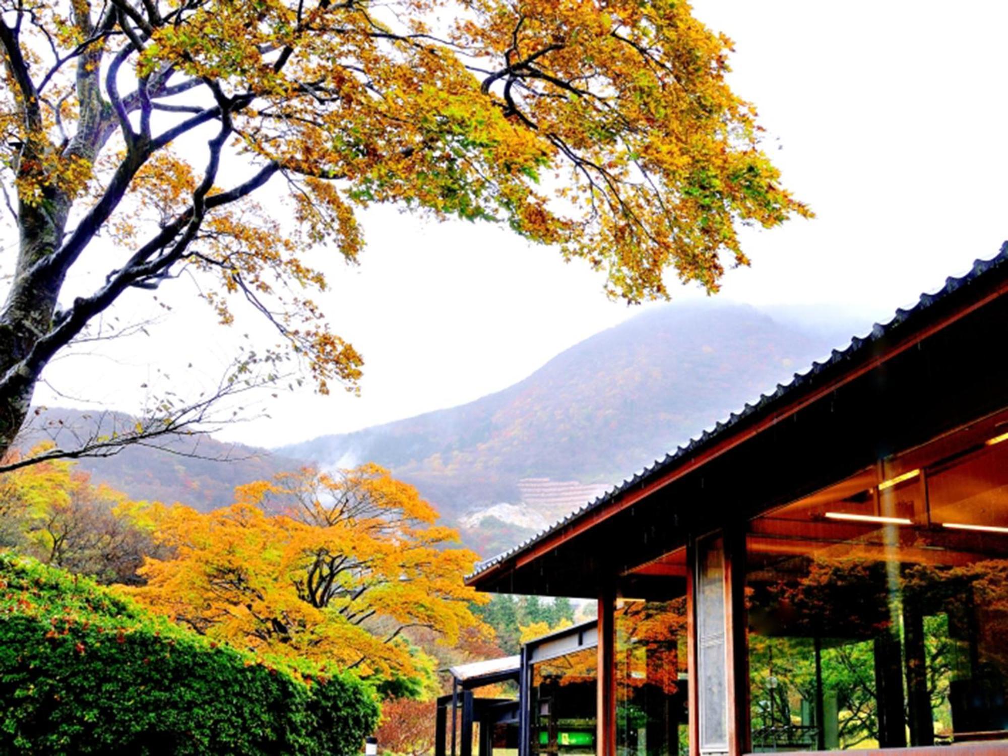 Hakone Yunohana Prince Hotel Kanagawa Exterior foto