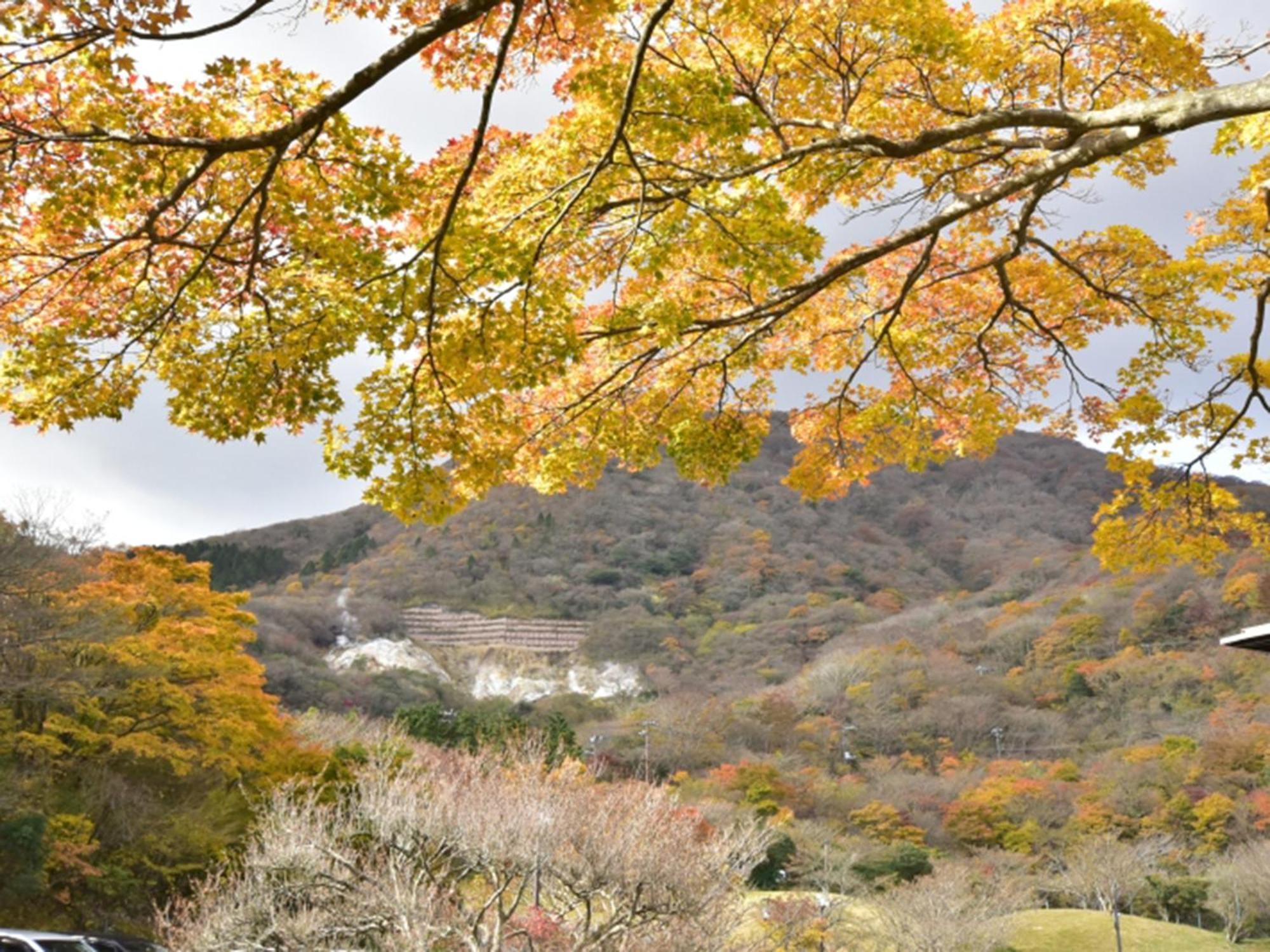 Hakone Yunohana Prince Hotel Kanagawa Exterior foto